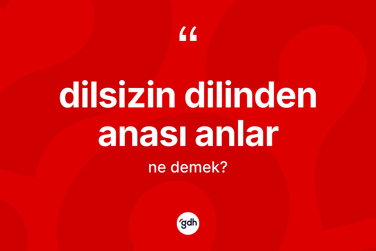 Dilsizin dilinden anası anlar ifadesinin anlamı nedir? Dilsizin dilinden anası anlar ifadesi nerede kullanılır?