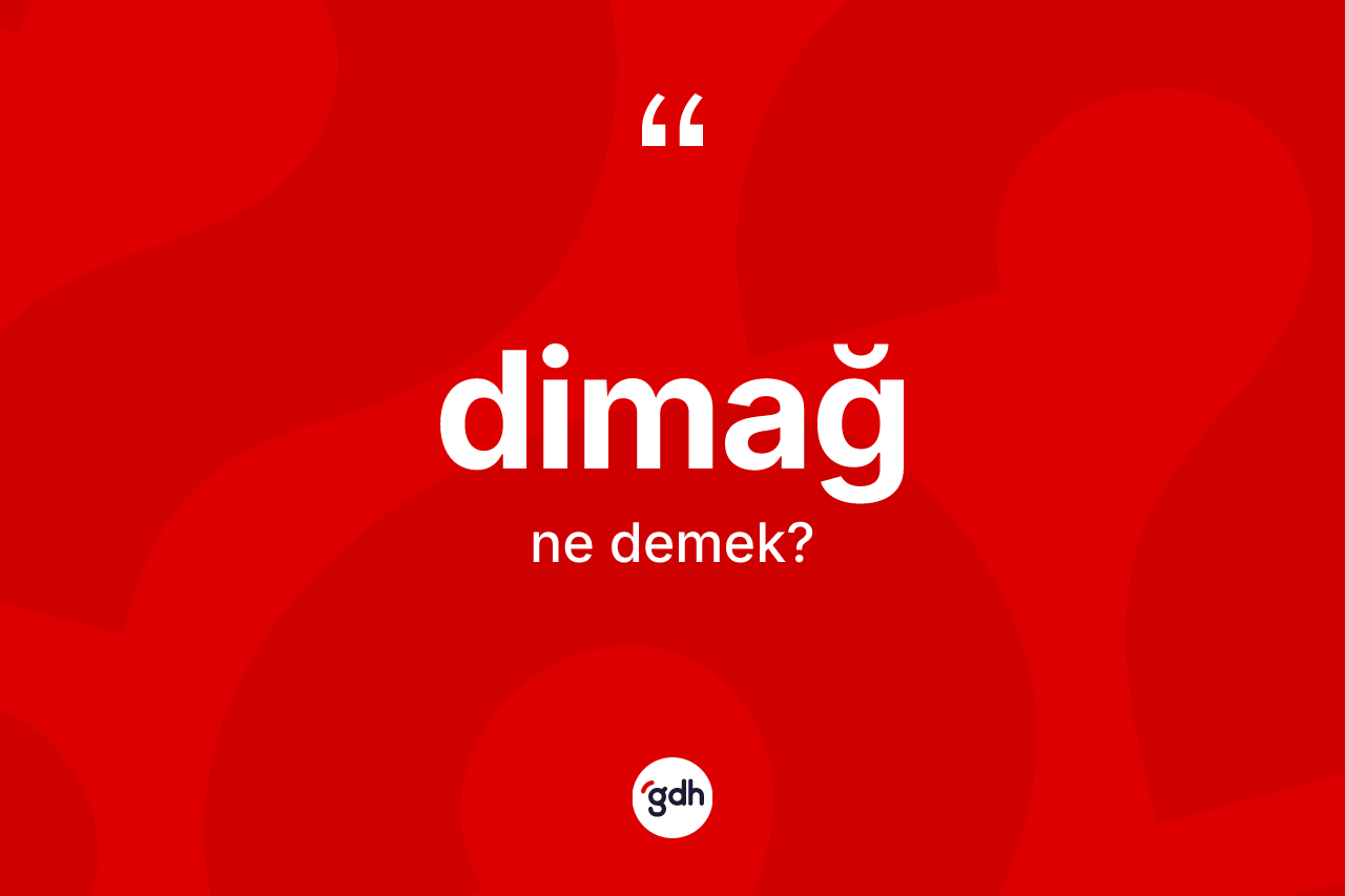Dimağ kelimesinin tanımı nedir? Dimağın TDK'ya göre anlamı nedir?