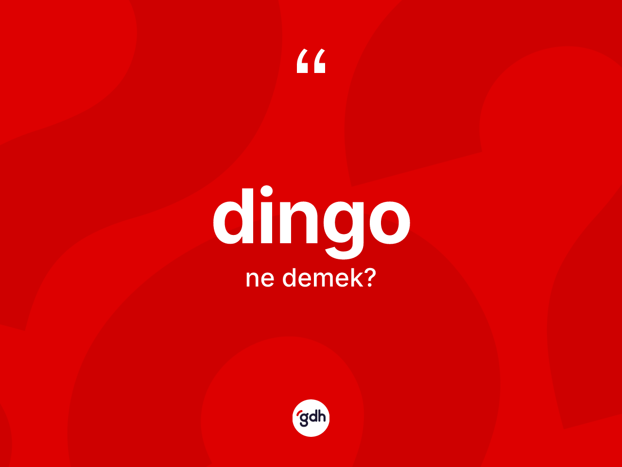 Dingo kelimesi nedir? Dingo kelimesinin kaç farklı anlamı var?