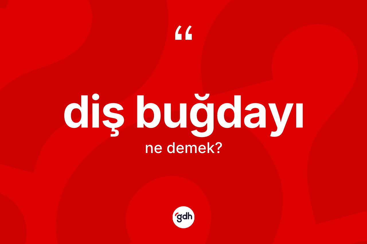 Diş buğdayı kelimesinin anlamı nedir?