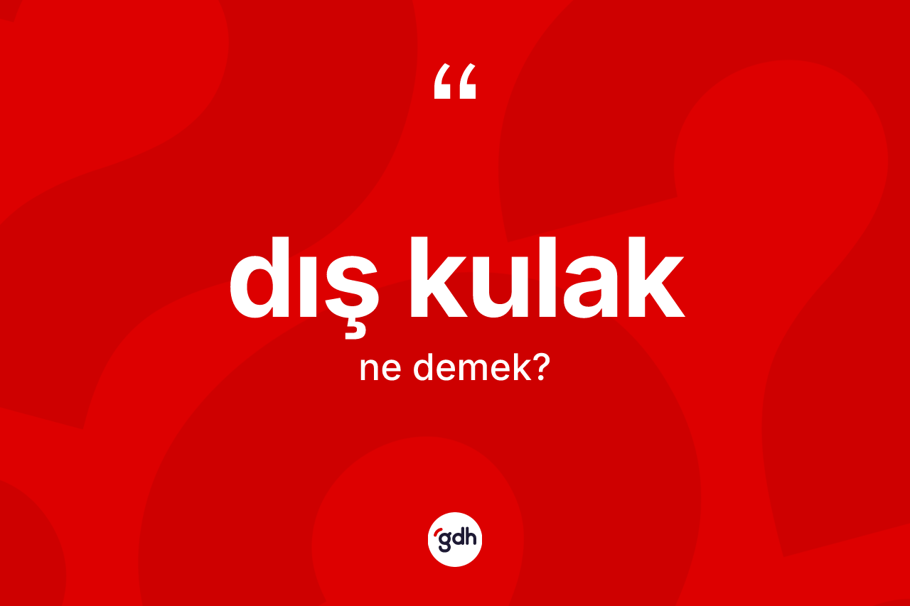 Dış kulak kelimesi ne demek? Dış kulağın sözlükteki anlamı nedir?