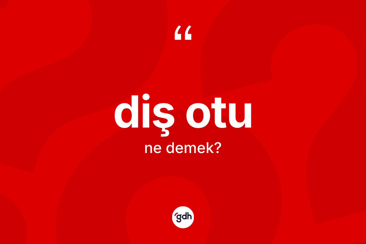 Diş otu ne anlama gelir?