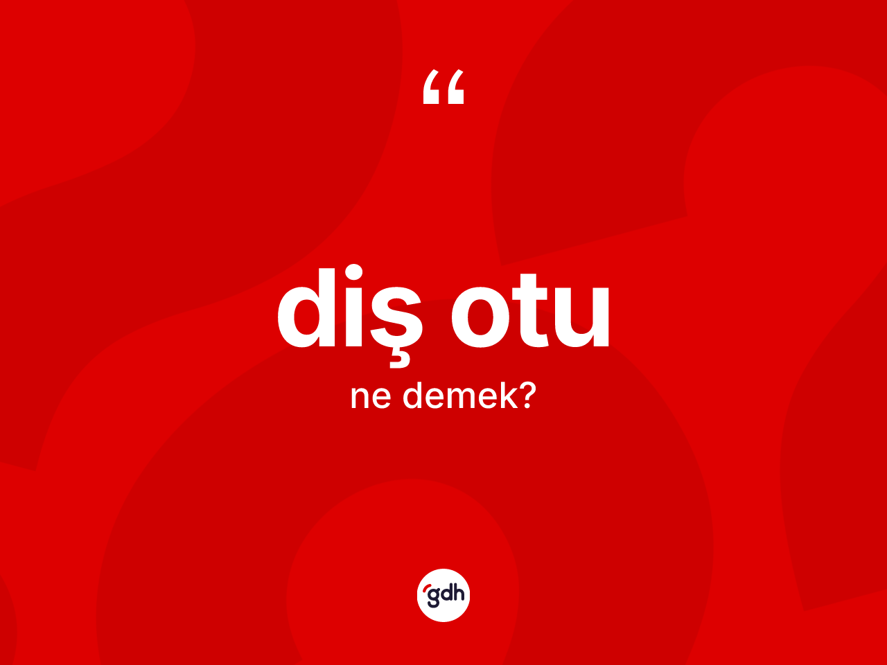 Diş otu ne anlama gelir? Diş otu kelimesinin özellikleri nelerdir?
