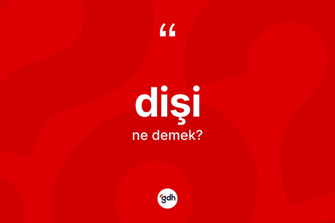Dişi kelimesinin anlamı nedir?