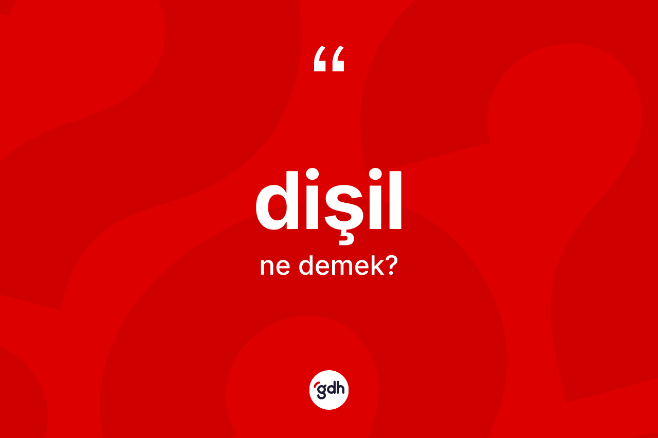 Dişil ne demek? Dişilin kısaca tanımı nedir?