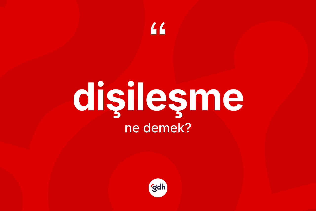 Dişileşme kelimesinin anlamı nedir? Dişileşmenin TDK'ya göre anlamı nedir?
