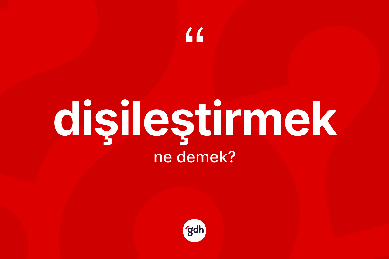 Dişileştirmek ne demek? Dişileştirmeğin TDK'ya göre anlamı nedir?
