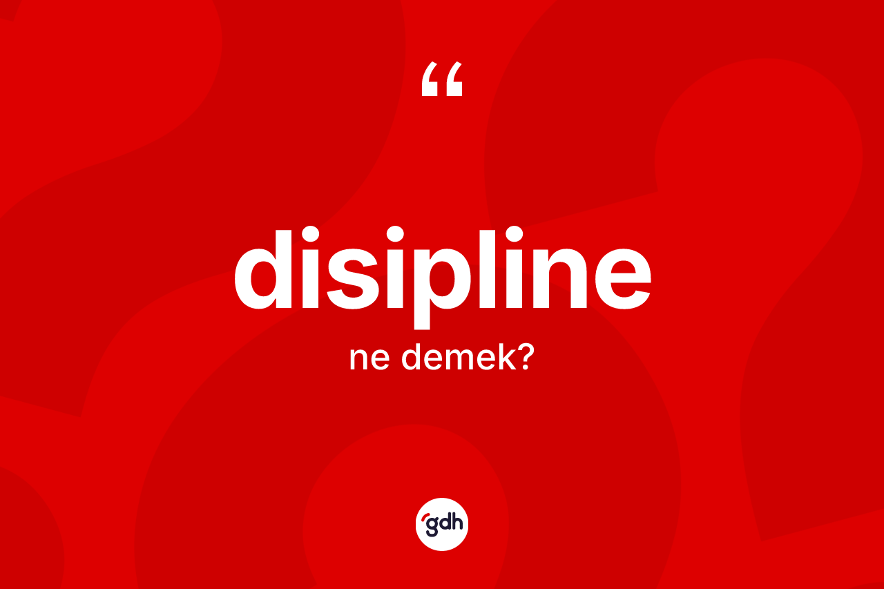 Disipline kelimesi nedir?