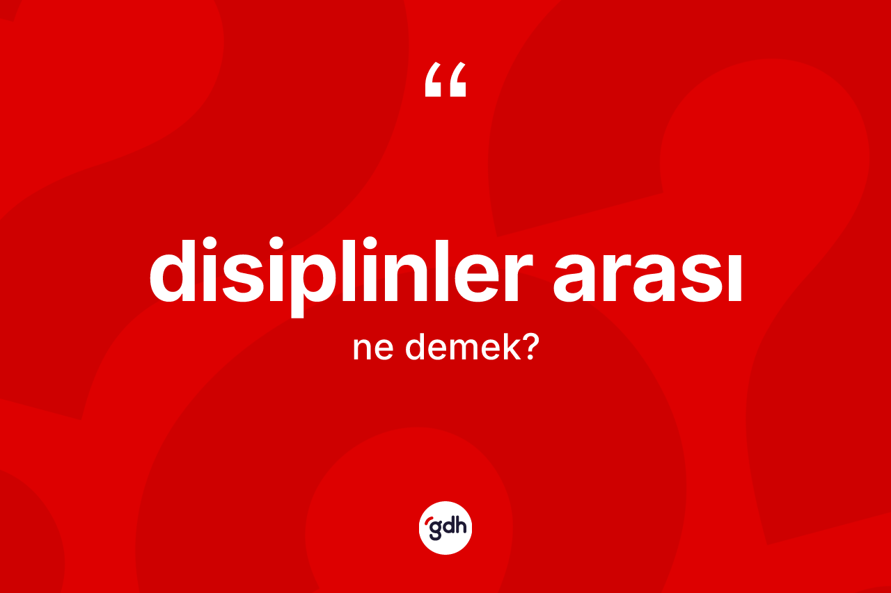 Disiplinler arası kelimesinin anlamı nedir? Disiplinler arasının kısaca tanımı nedir?