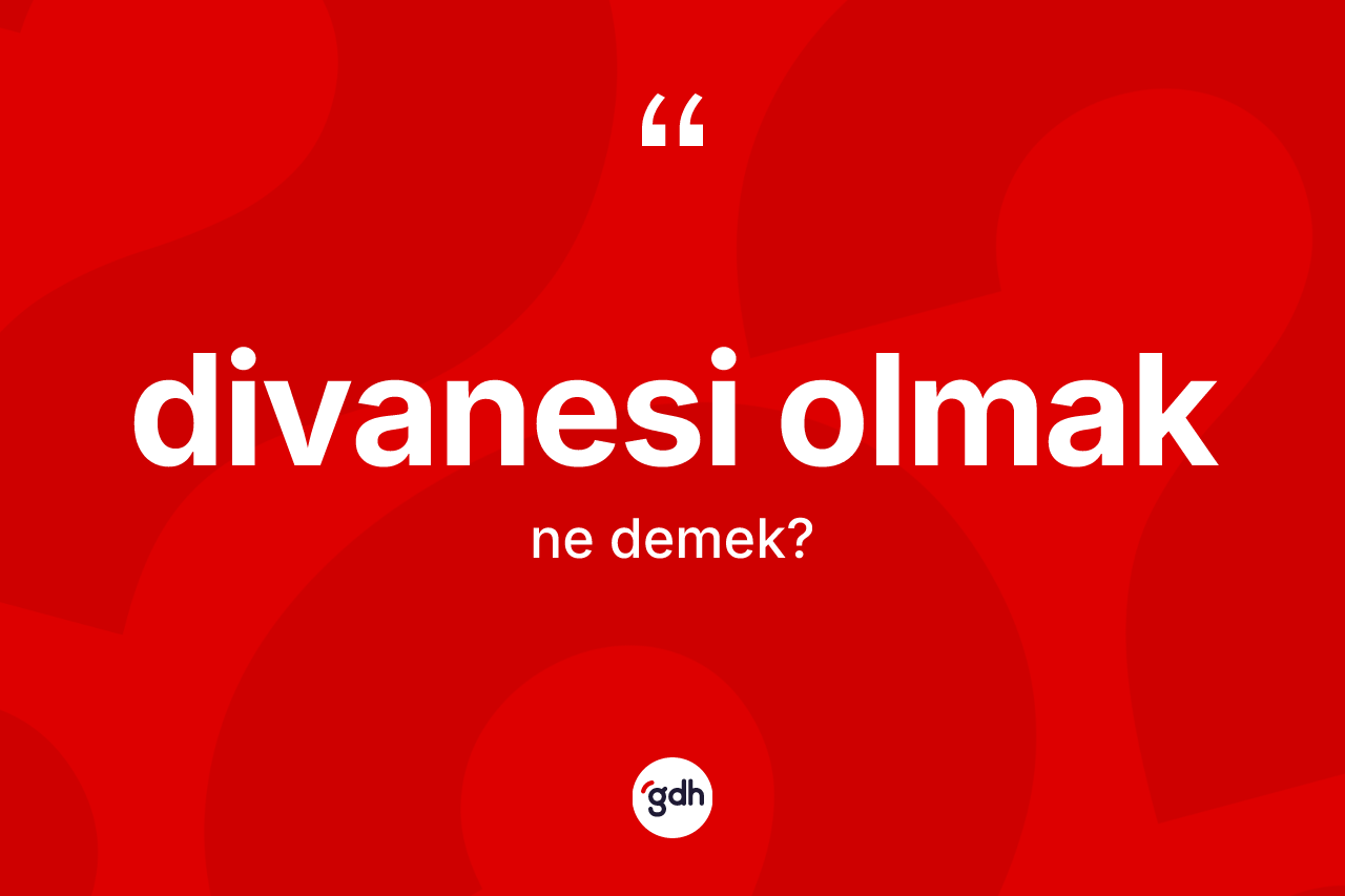 Divanesi olmak nedir? Divanesi olmak ifadesi hangi durumlarda kullanılır