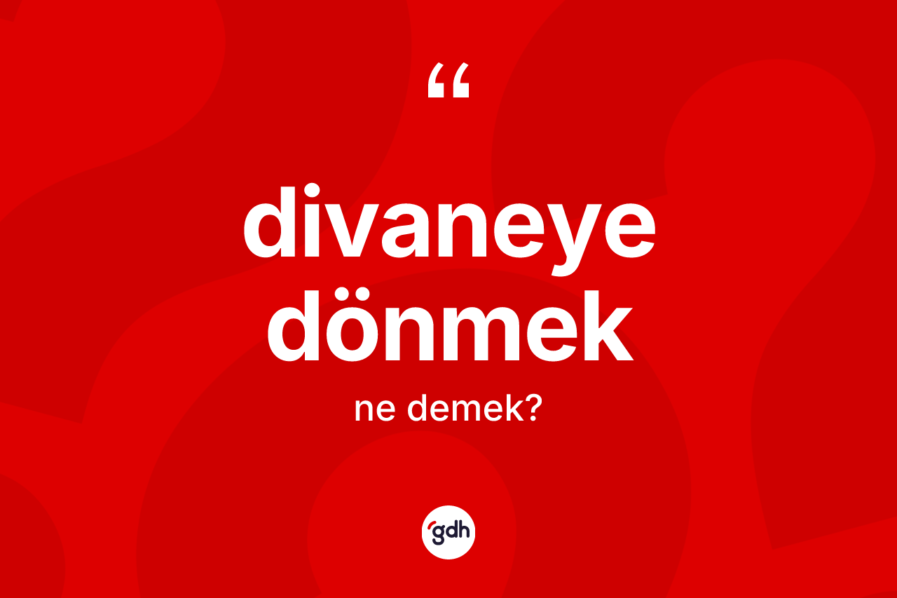 Divaneye dönmek ifadesinin anlamı nedir? Divaneye dönmek ifadesinin TDK'ya göre açıklaması nedir?