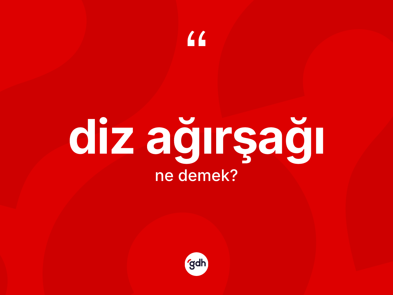 Diz ağırşağı kelimesi nedir? Diz ağırşağı kelimesinin TDK'ya göre açıklaması nedir?