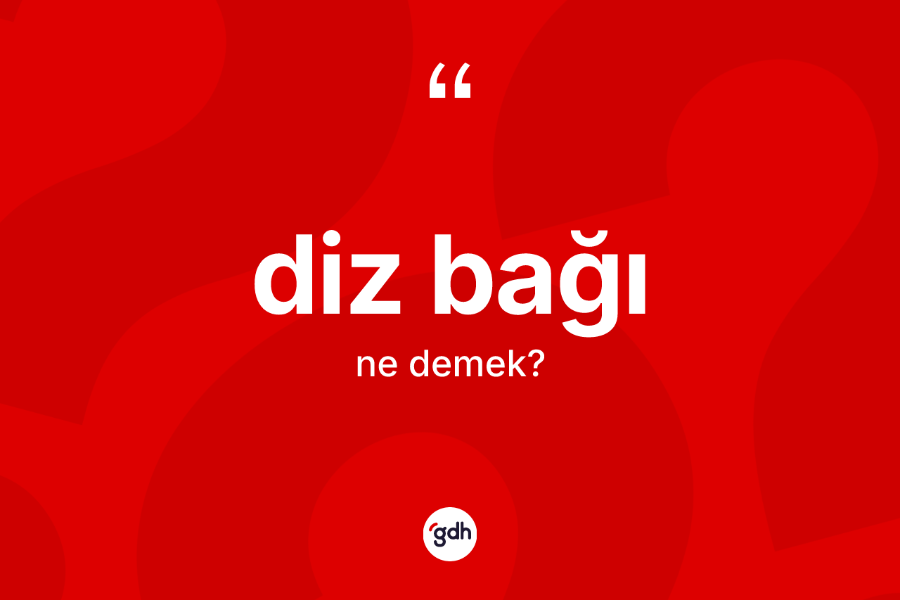 Diz bağı kelimesinin tanımı nedir? Diz bağının TDK'ya göre anlamı nedir?
