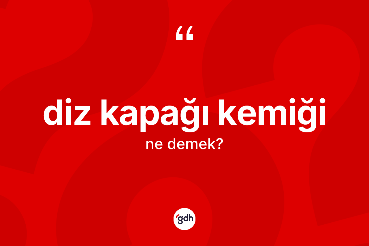 Diz kapağı kemiği kelimesi ne anlama gelir?