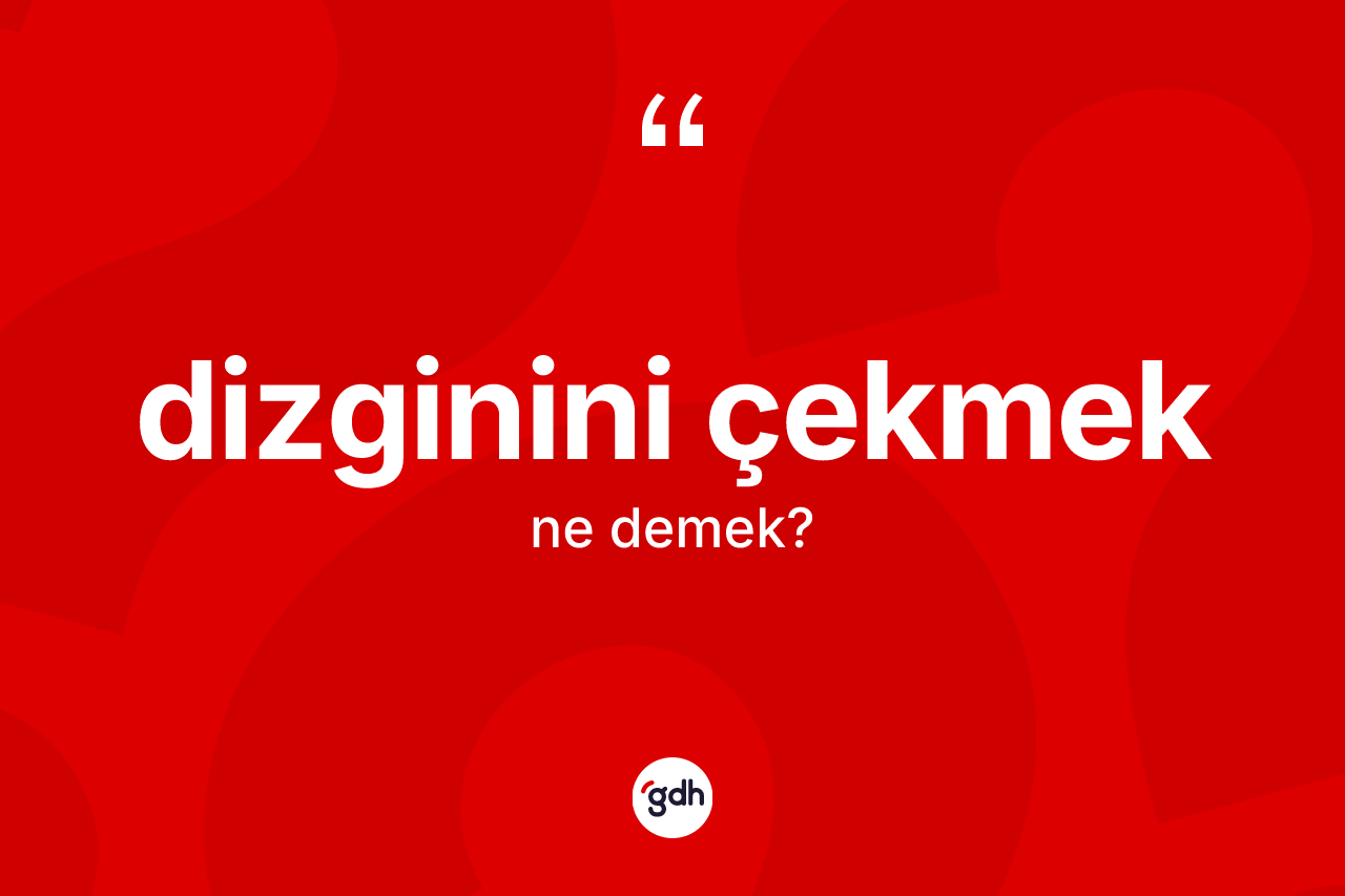 Dizginini çekmek ifadesinin tanımı nedir? Dizginini çekmek ifadesi nerede kullanılır?