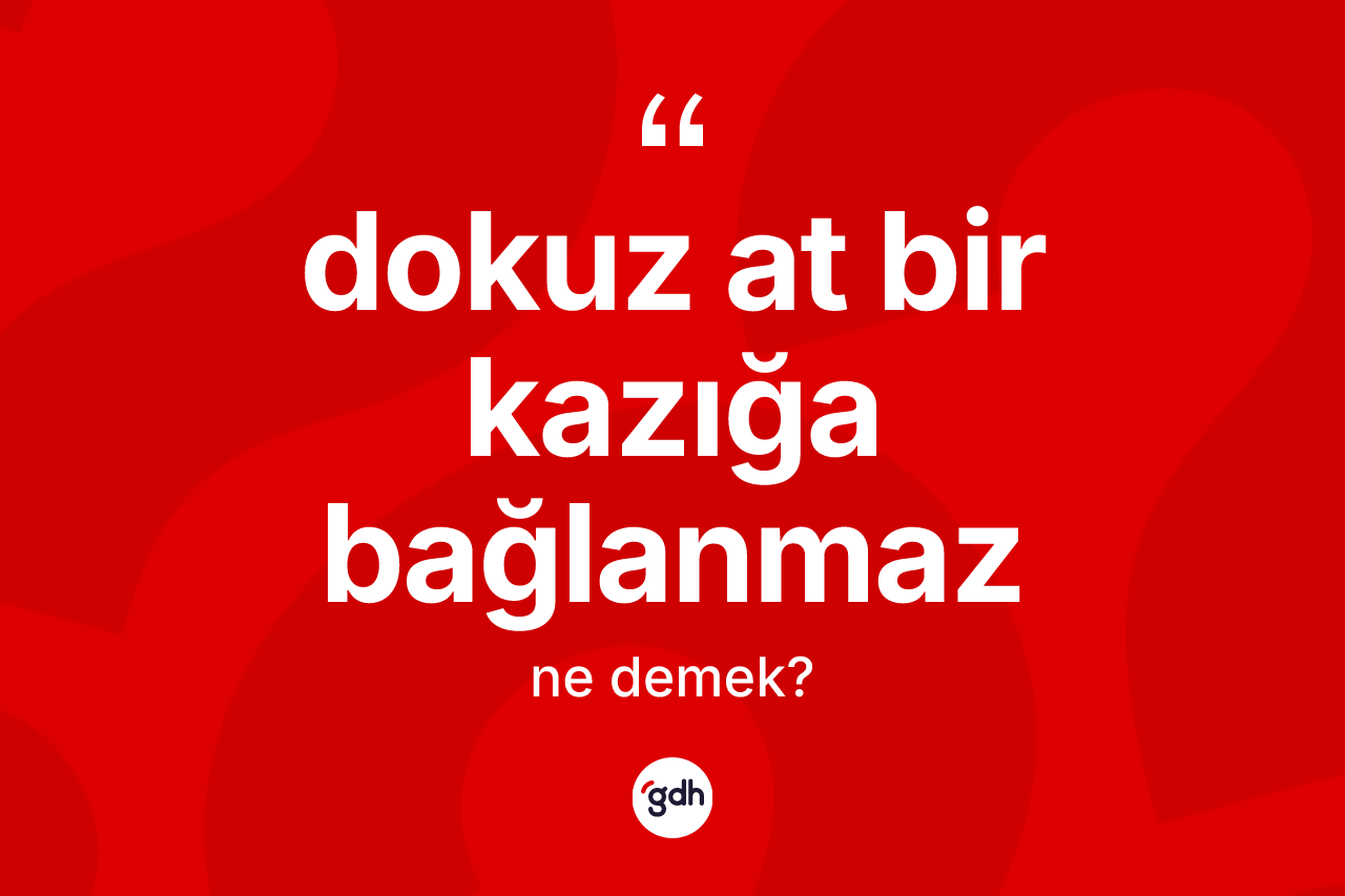 Dokuz at bir kazığa bağlanmaz ifadesi neyi anlatır? Dokuz at bir kazığa bağlanmaz sözünün TDK açıklaması nedir?