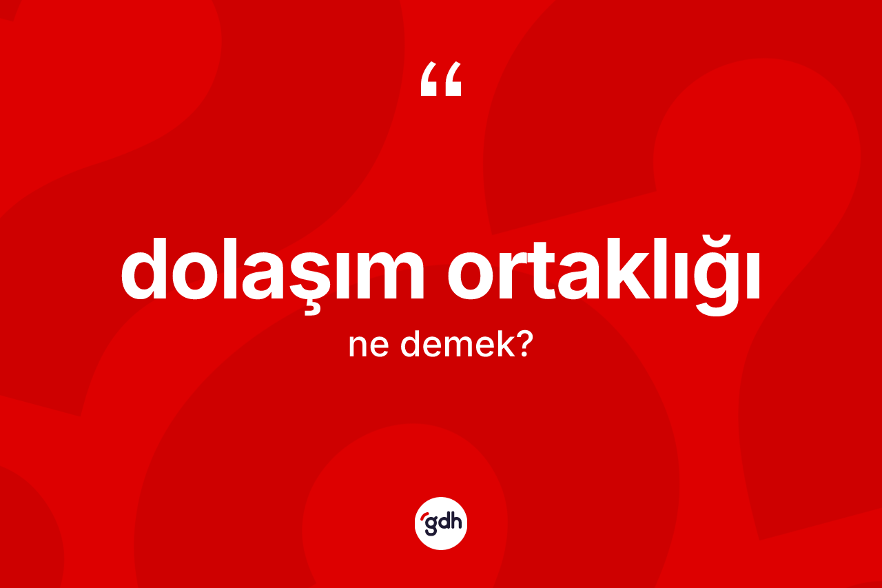 Dolaşım ortaklığı ne demek? Dolaşım ortaklığının TDK'ya göre anlamı nedir?