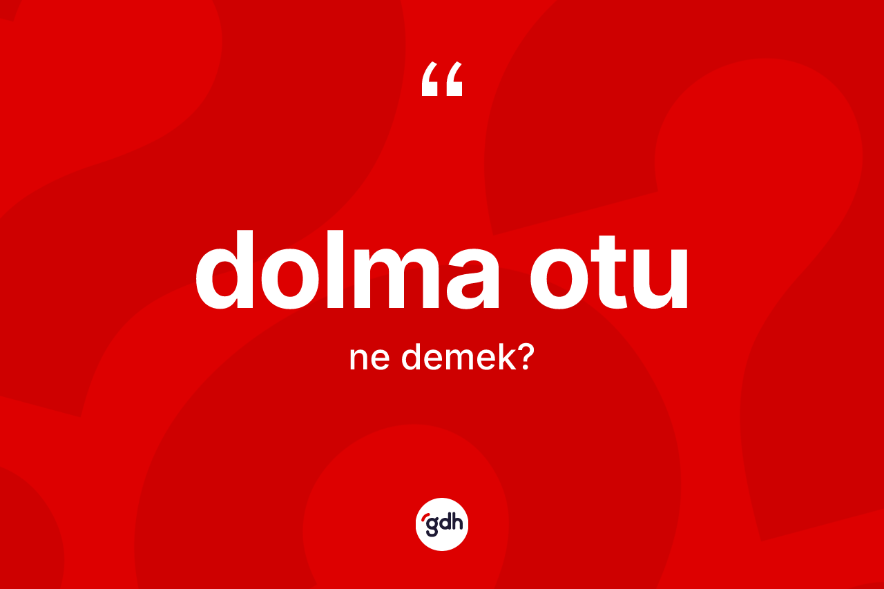 Dolma otu kelimesi ne demek? Dolma otunun TDK'ya göre anlamı nedir?