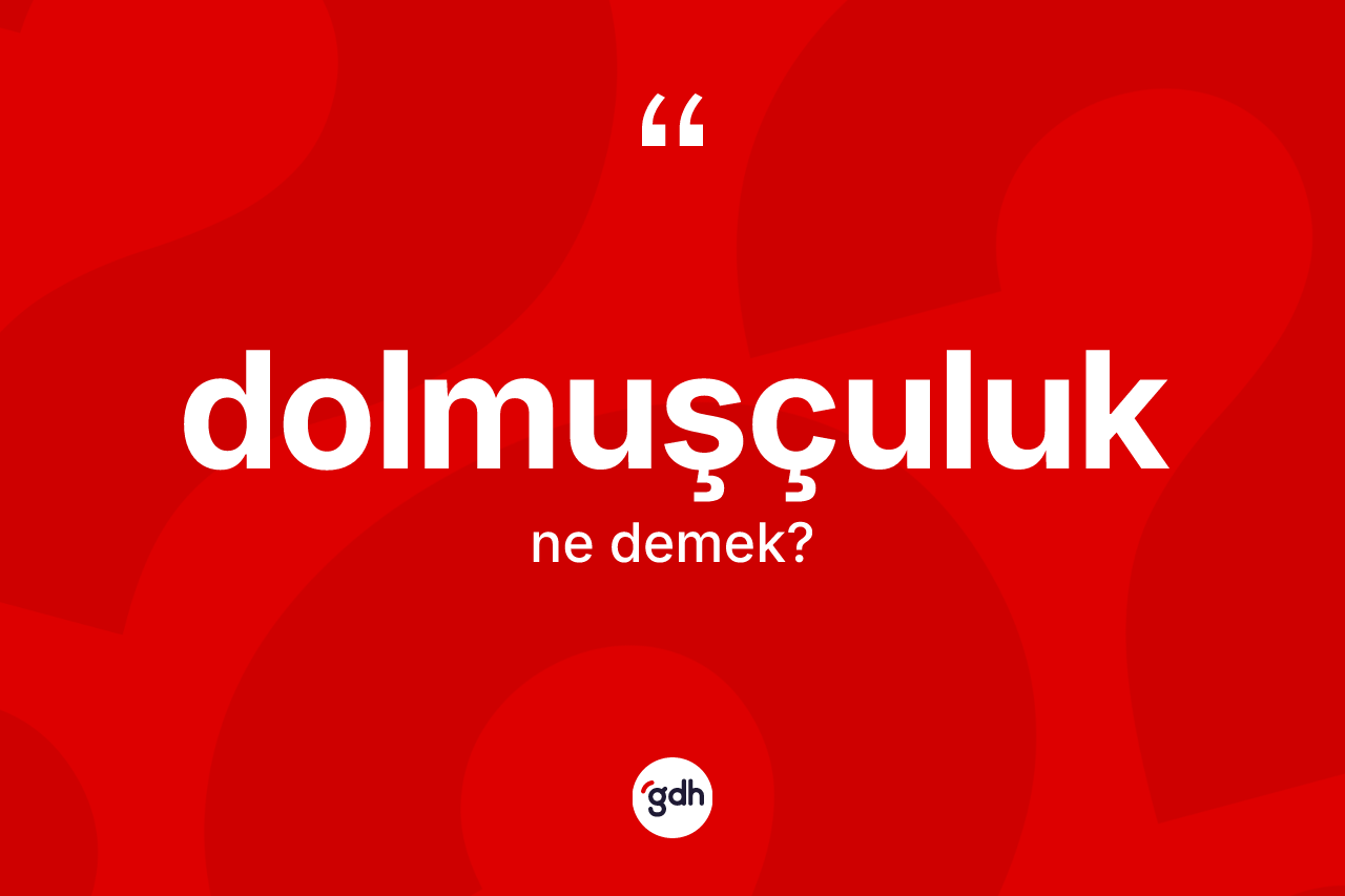 Dolmuşçuluk kelimesinin anlamı nedir?