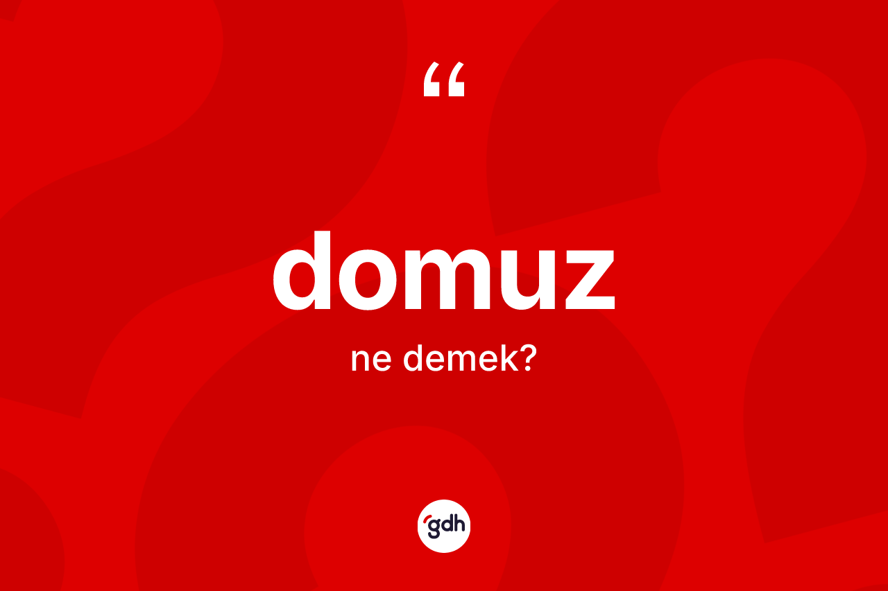 Domuz kelimesi ne demek?