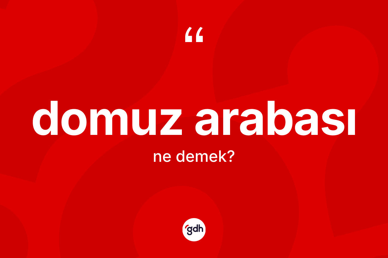 Domuz arabası kelimesi nedir?