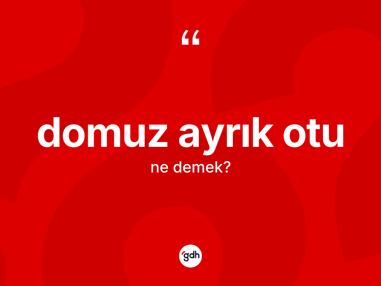 Domuz ayrık otu kelimesinin tanımı nedir? Domuz ayrık otunun TDK'ya göre anlamı nedir?