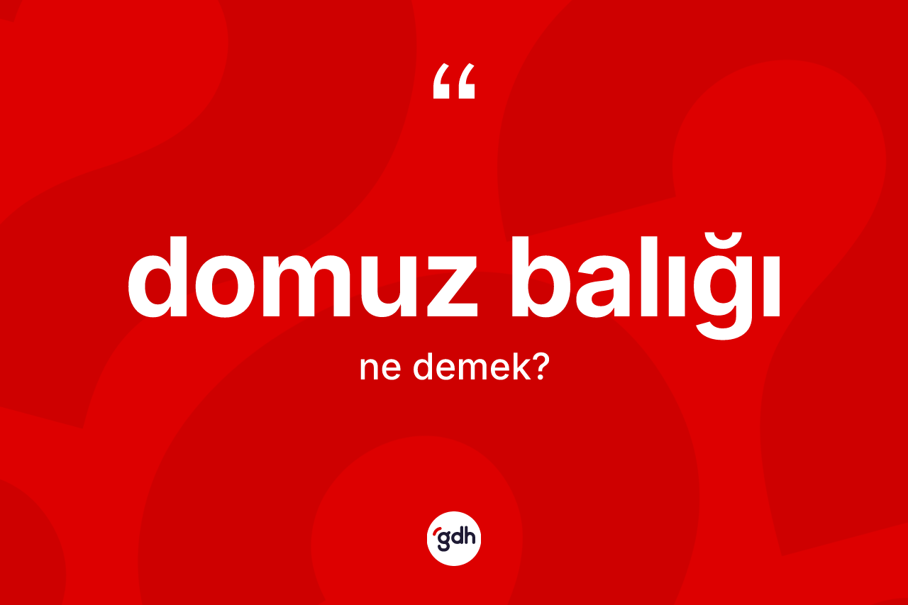 Domuz balığı kelimesi nedir?