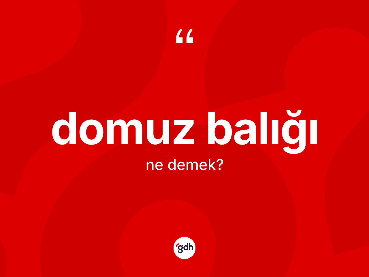 Domuz balığı kelimesi nedir? Domuz balığının TDK'ya göre anlamı nedir?