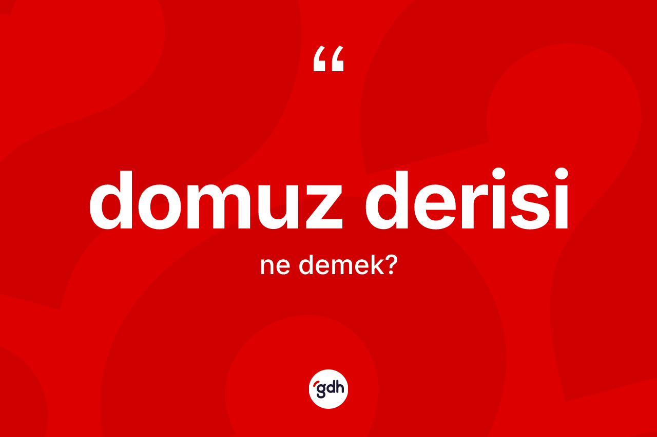 Domuz derisi kelimesinin sözlükteki tanımı nedir?