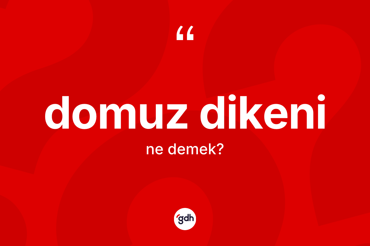 Domuz dikeni kelimesinin sözlükteki tanımı nedir? Domuz dikeninin sözlükteki anlamı nedir?