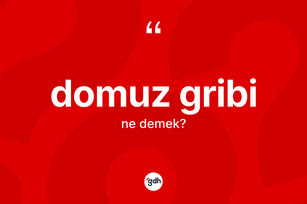 Domuz gribi kelimesinin tanımı nedir? Domuz gribinin TDK'ya göre anlamı nedir?