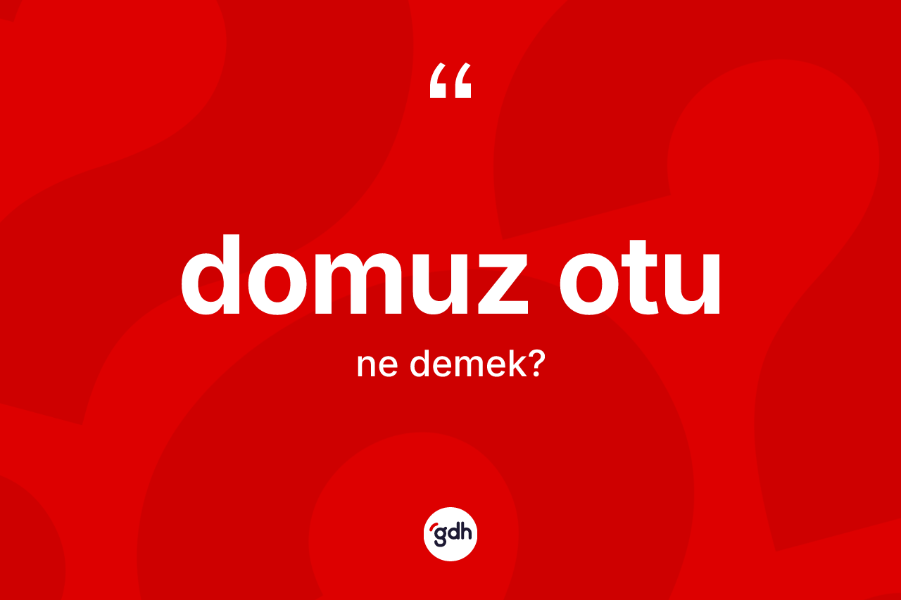 Domuz otu ne demek? Domuz otunun TDK'ya göre anlamı nedir?