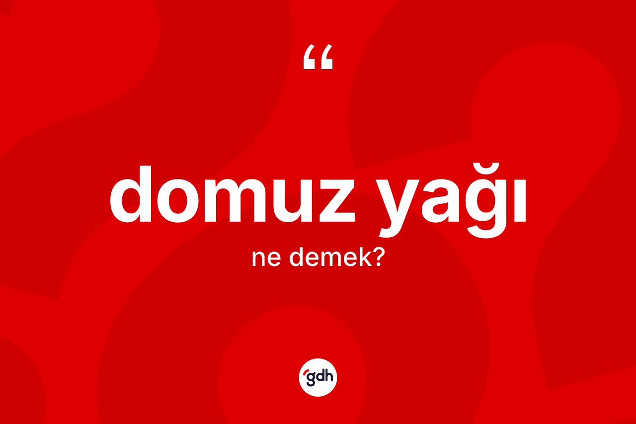 Domuz yağı kelimesi ne demek? Domuz yağının halk arasındaki kullanımı nasıldır?
