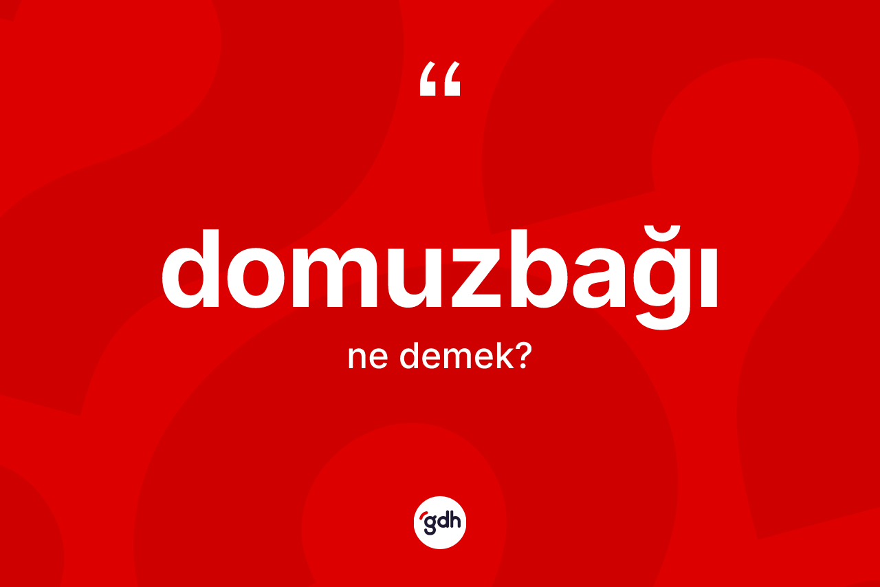 Domuzbağı kelimesinin anlamı nedir? Domuzbağı kelimesinin özellikleri nelerdir?