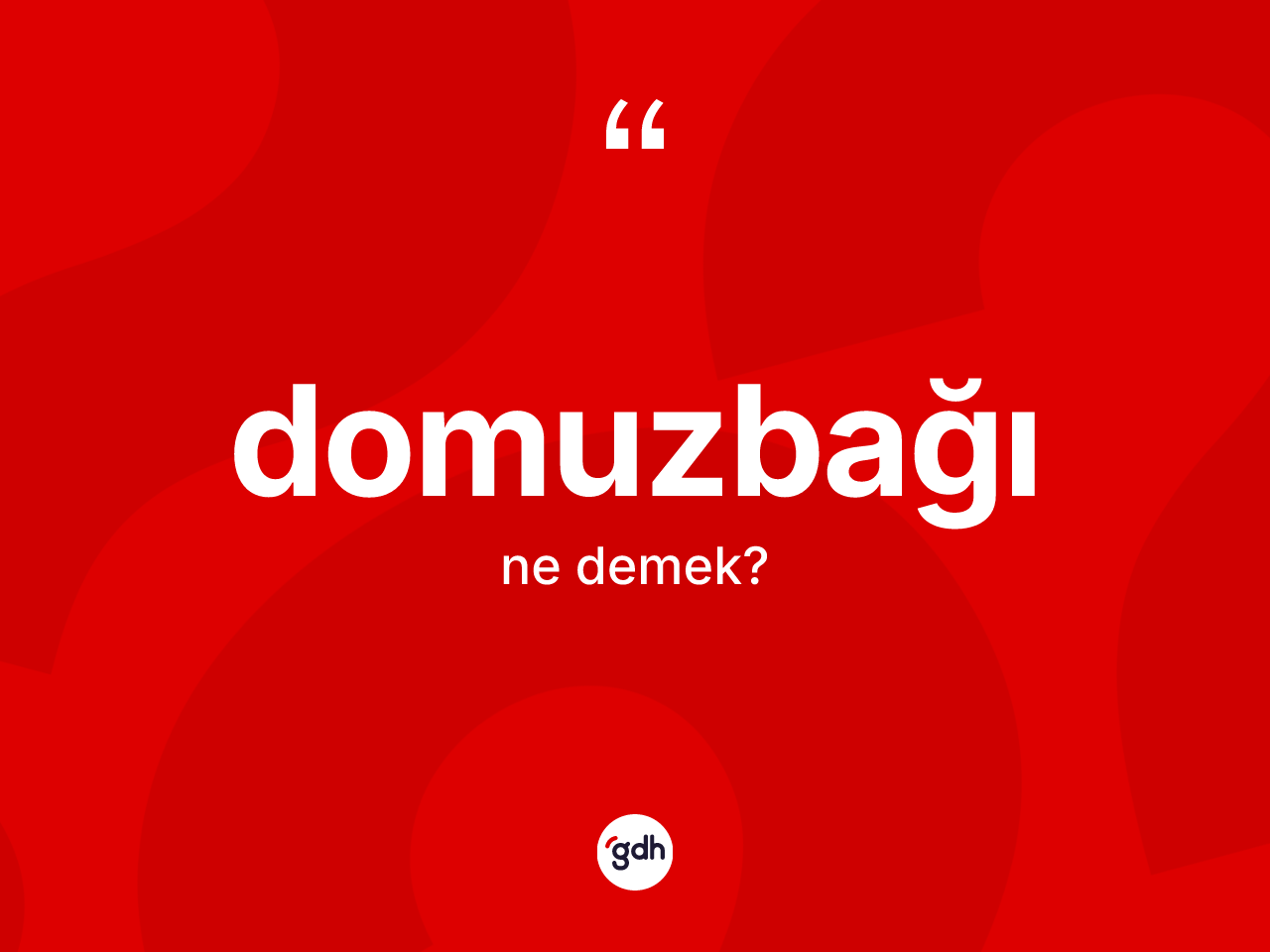 Domuzbağı kelimesinin anlamı nedir? Domuzbağı kelimesinin özellikleri nelerdir?