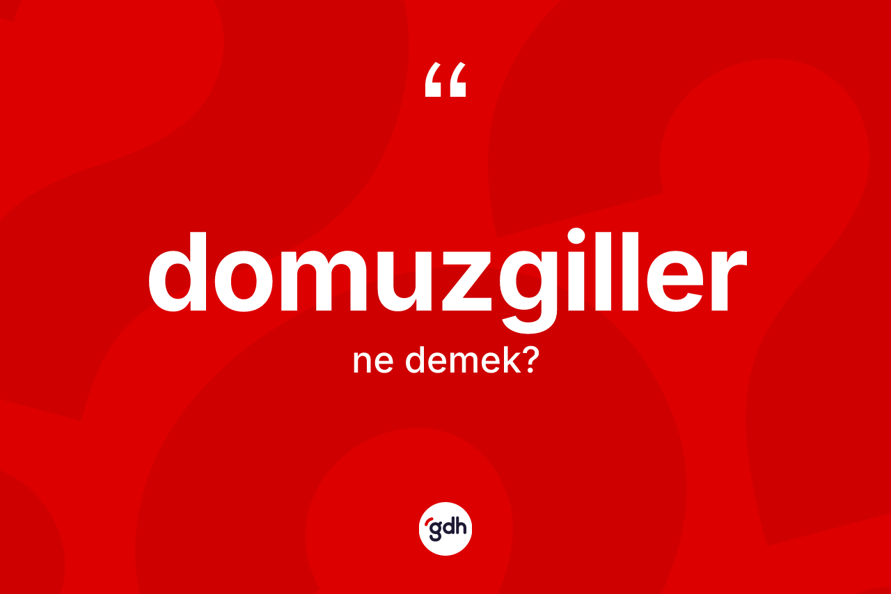 Domuzgiller kelimesinin anlamı nedir? Domuzgiller kelimesinin TDK'ya göre açıklaması nedir?