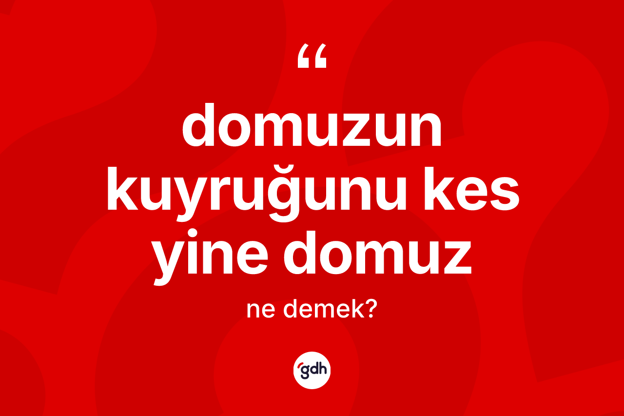 Domuzun kuyruğunu kes yine domuz sözü nedir?