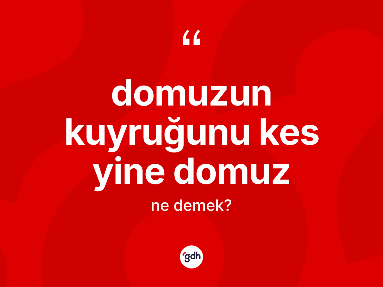 Domuzun kuyruğunu kes yine domuz sözü nedir? Domuzun kuyruğunu kes yine domuz sözünün sözlük anlamı nedir?