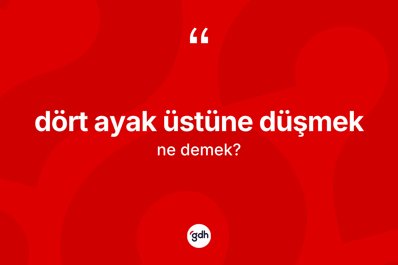 Dört ayak üstüne düşmek ifadesinin kısaca anlamı nedir? Dört ayak üstüne düşmek ifadesi nerede kullanılır?