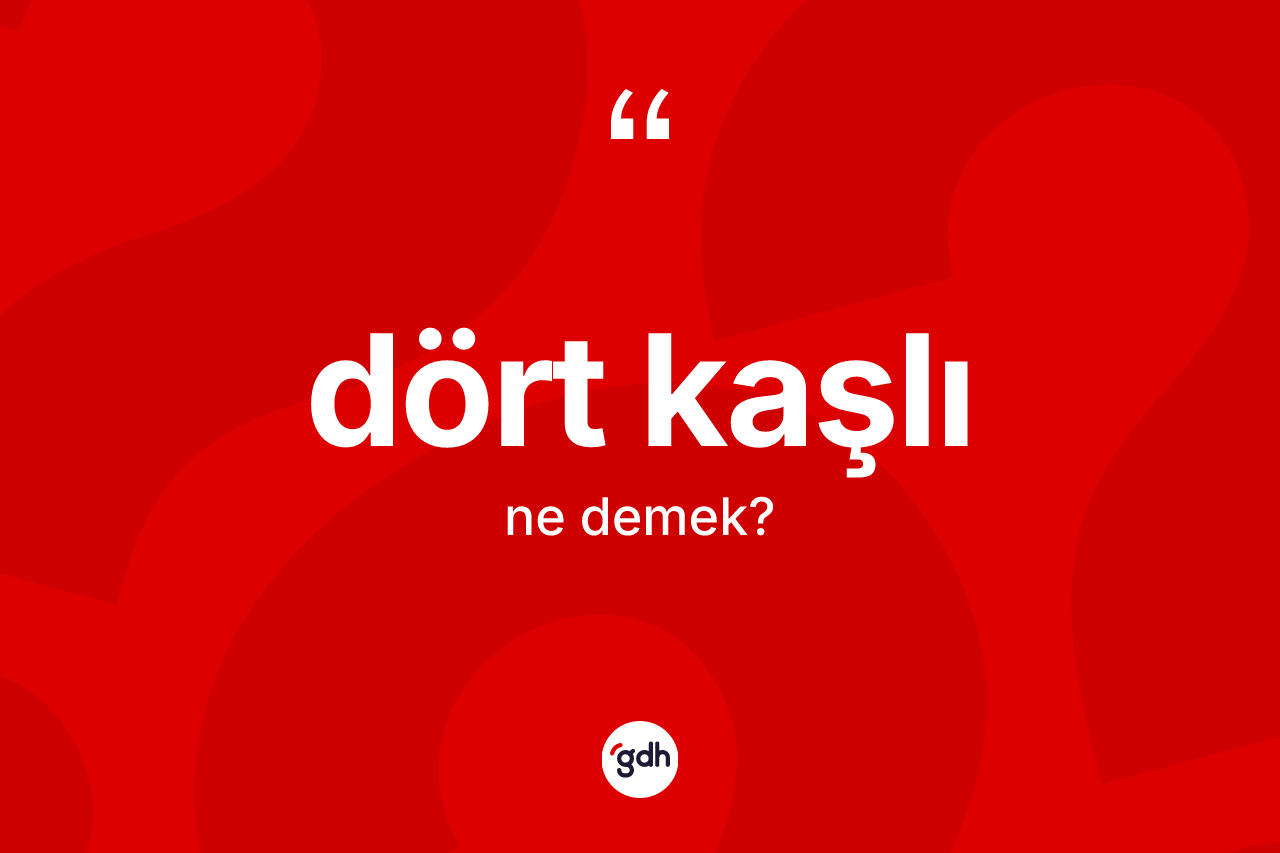 Dört kaşlı nedir? Dört kaşlı kelimesinin TDK'ya göre açıklaması nedir?