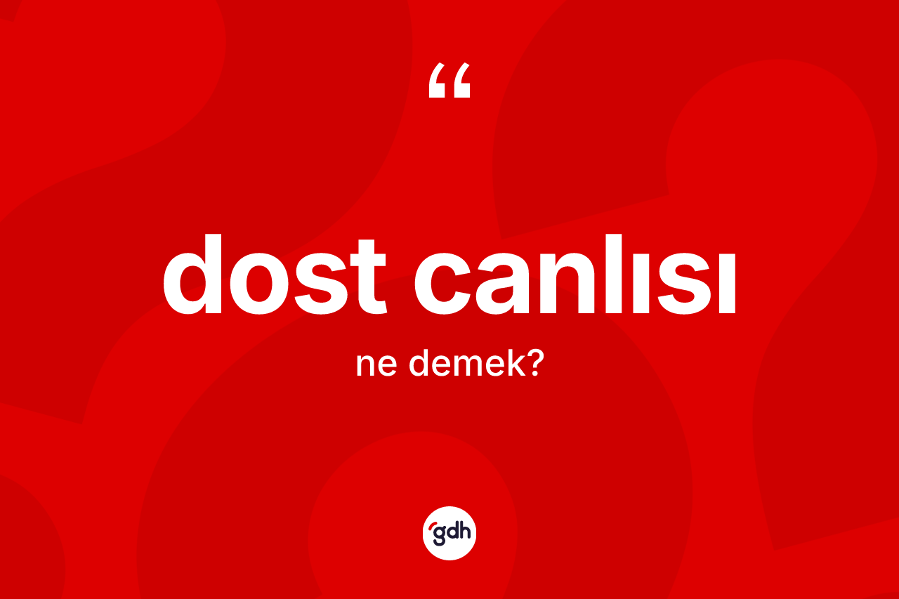 Dost canlısı kelimesi nedir?