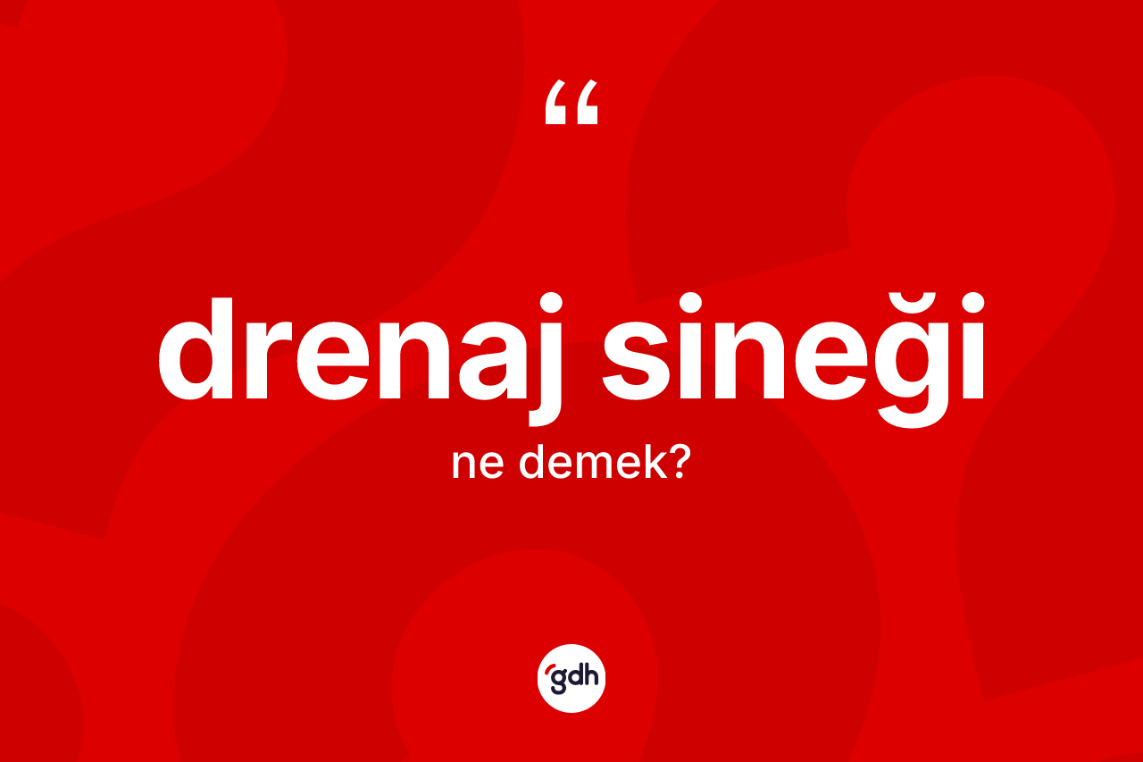 Drenaj sineği kelimesi ne anlama gelir? Drenaj sineği kelimesinin kaç farklı anlamı var?