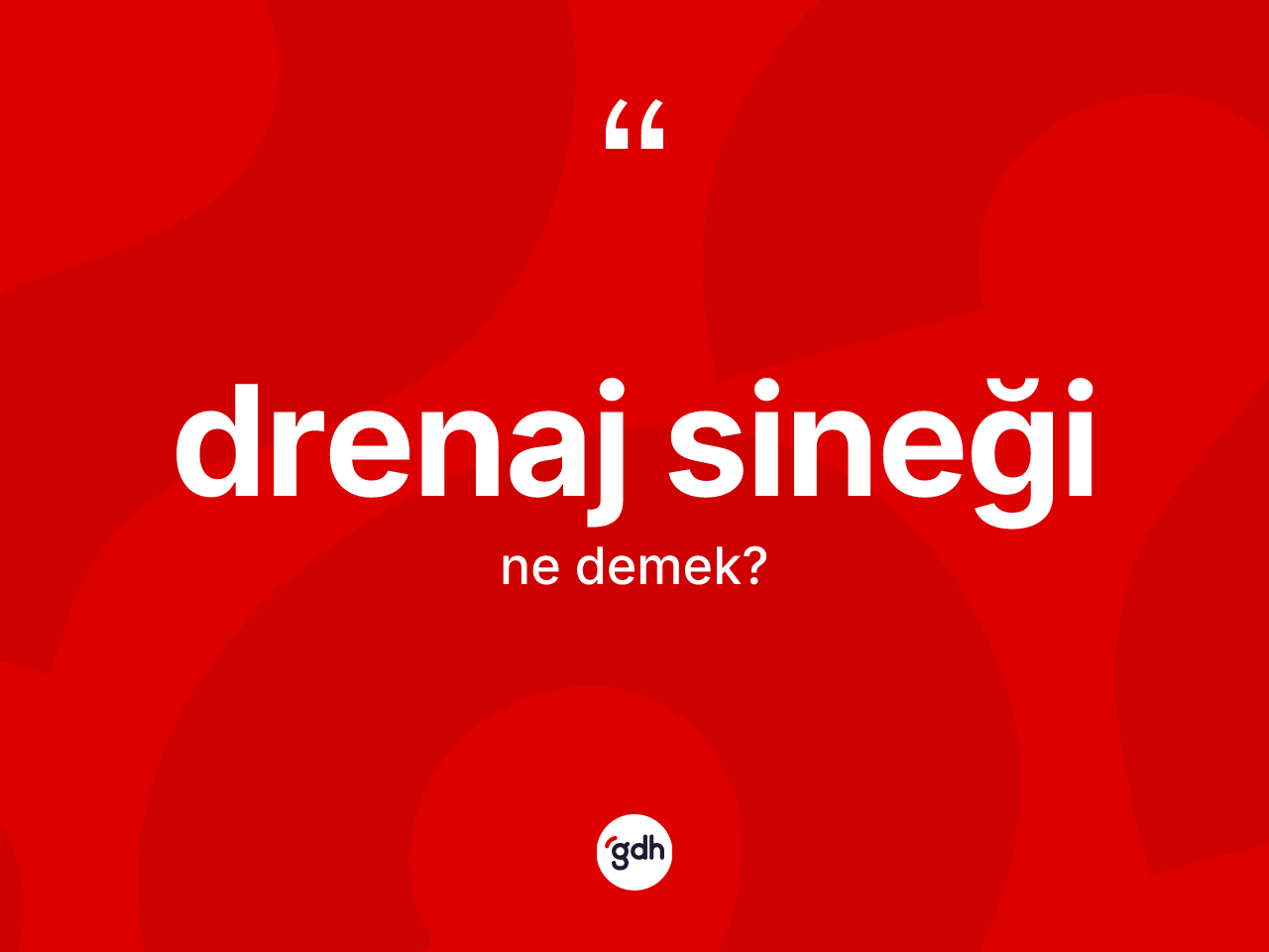 Drenaj sineği kelimesi ne anlama gelir? Drenaj sineği kelimesinin kaç farklı anlamı var?
