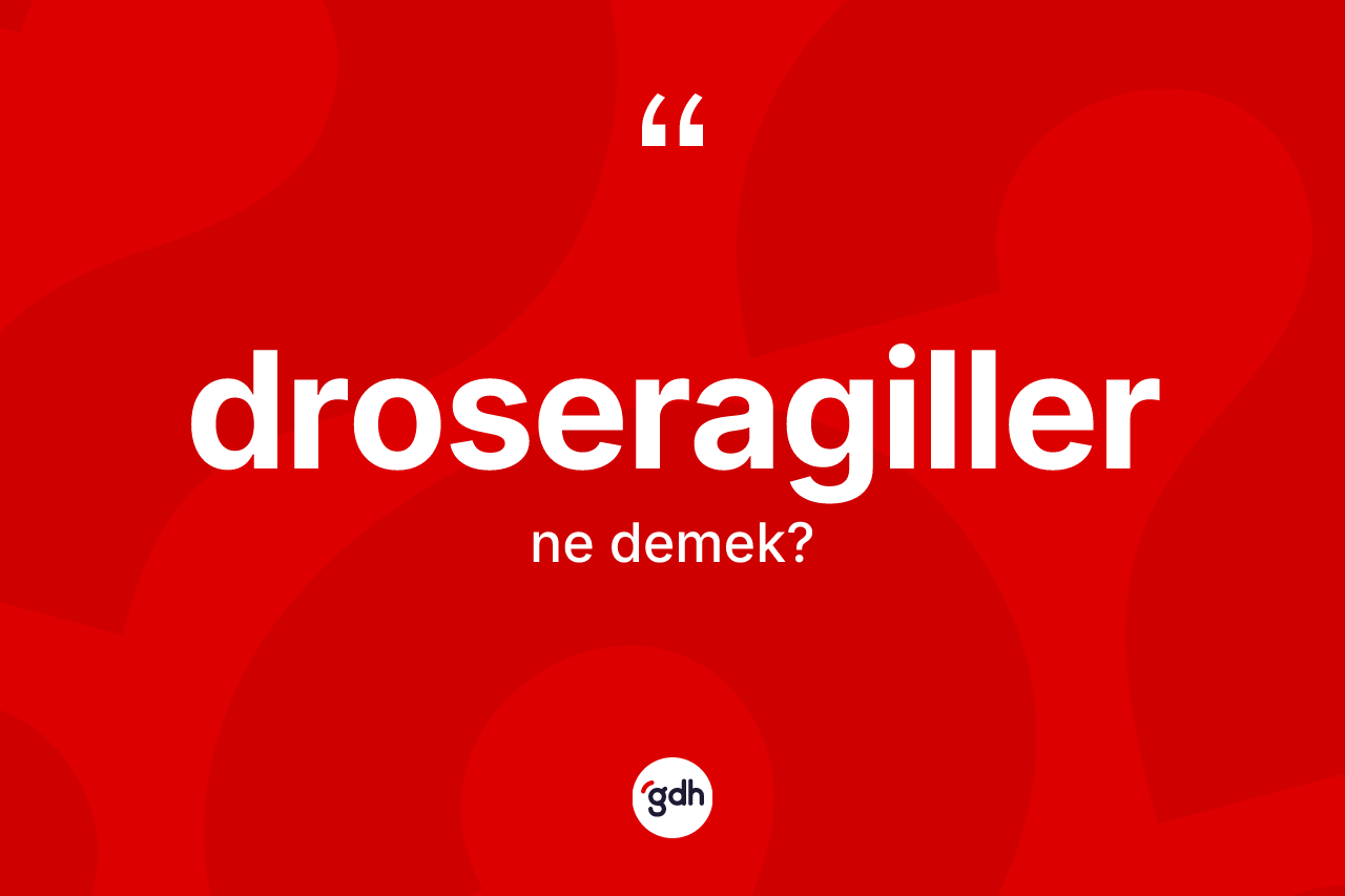 Droseragiller kelimesi ne demek? Droseragiller kelimesinin TDK anlamı nedir?