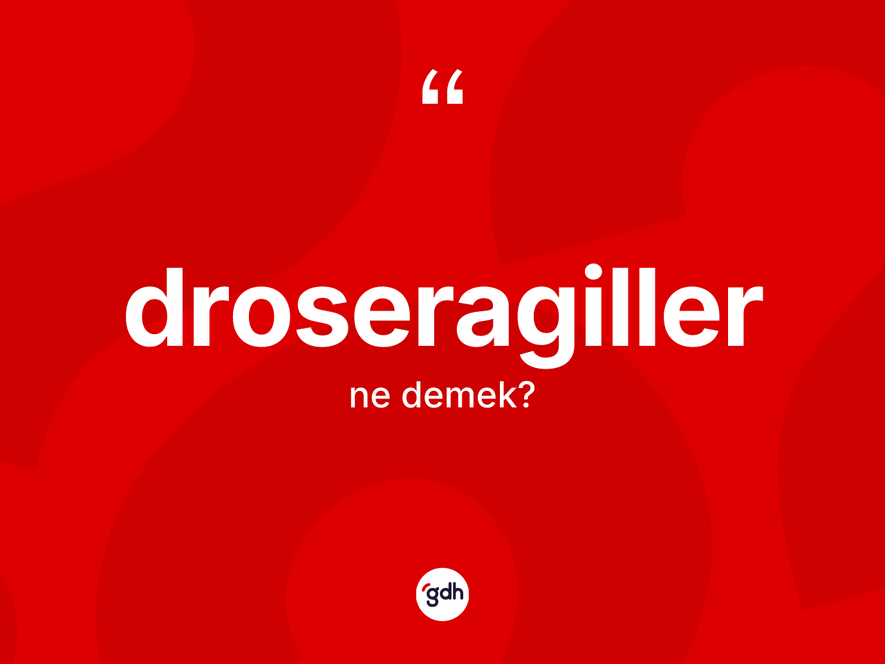 Droseragiller kelimesi ne demek? Droseragiller kelimesinin TDK anlamı nedir?