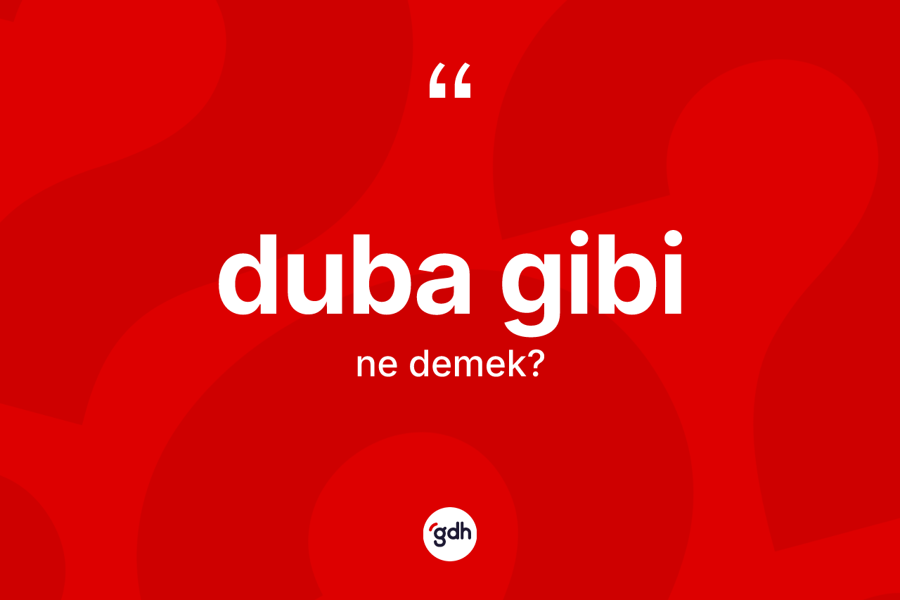 Duba gibi ifadesi ne anlama gelir? Duba gibi ifadesinin TDK'ya göre açıklaması nedir?