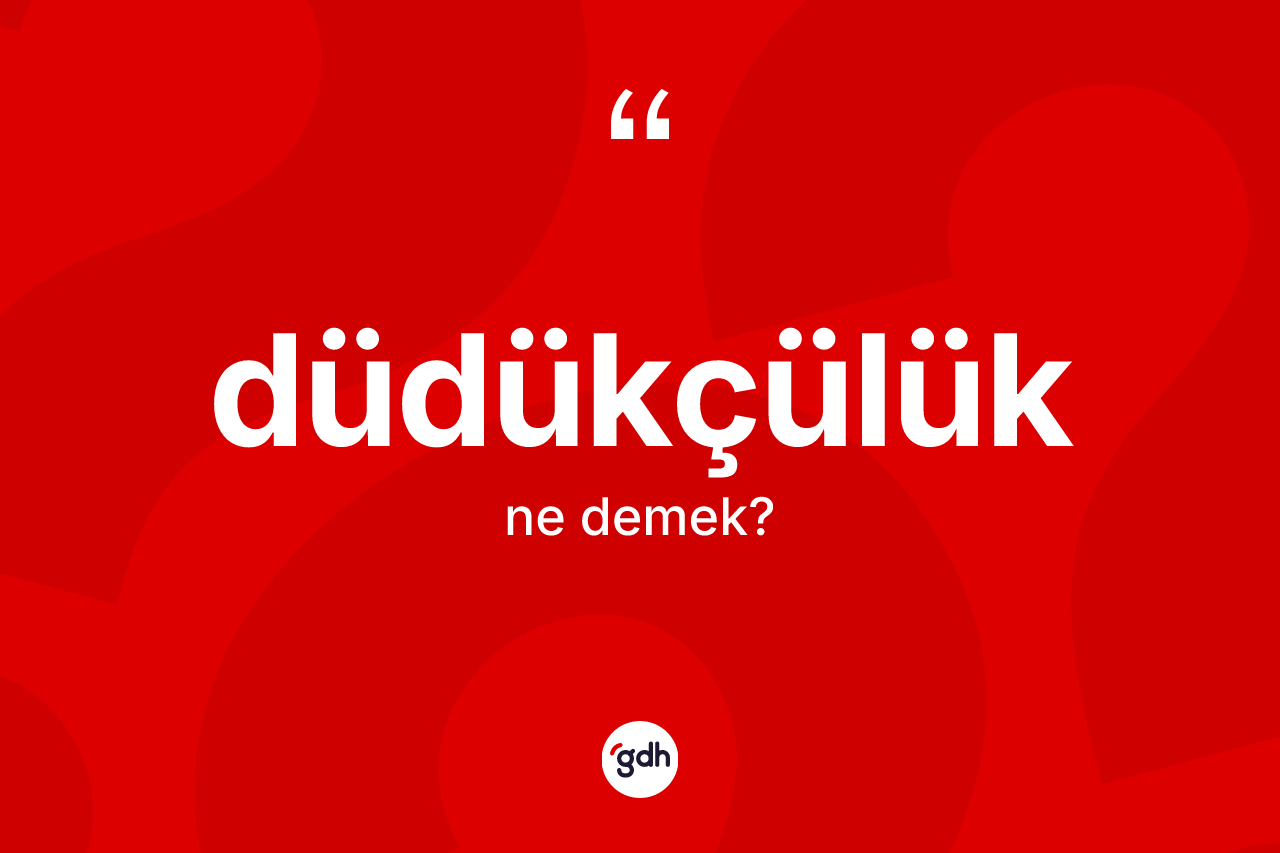 Düdükçülük kelimesinin anlamı nedir? Düdükçülüğün TDK'ya göre anlamı nedir?