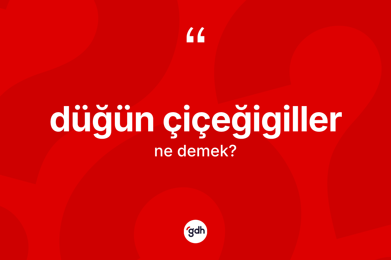 Düğün çiçeğigiller kelimesinin sözlükteki tanımı nedir? Düğün çiçeğigillerin TDK'ya göre anlamı nedir?