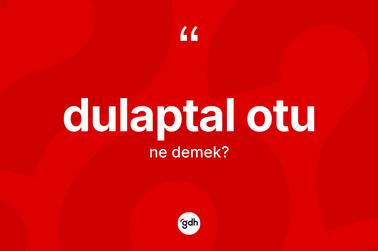 Dulaptal otu nedir? Dulaptal otu kelimesinin TDK'ya göre açıklaması nedir?