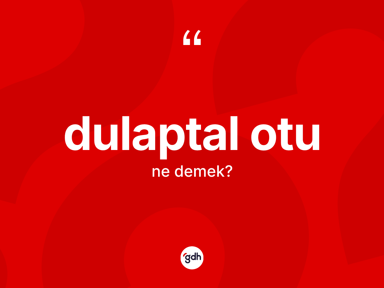 Dulaptal otu nedir? Dulaptal otu kelimesinin TDK'ya göre açıklaması nedir?